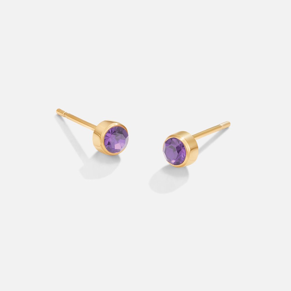 Birthstone Crystal Stud Earrings