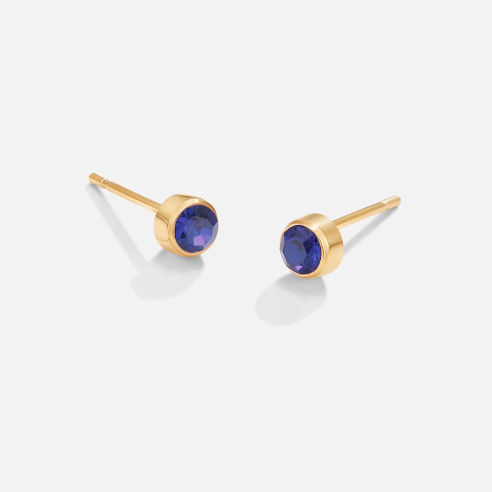 Birthstone Crystal Stud Earrings