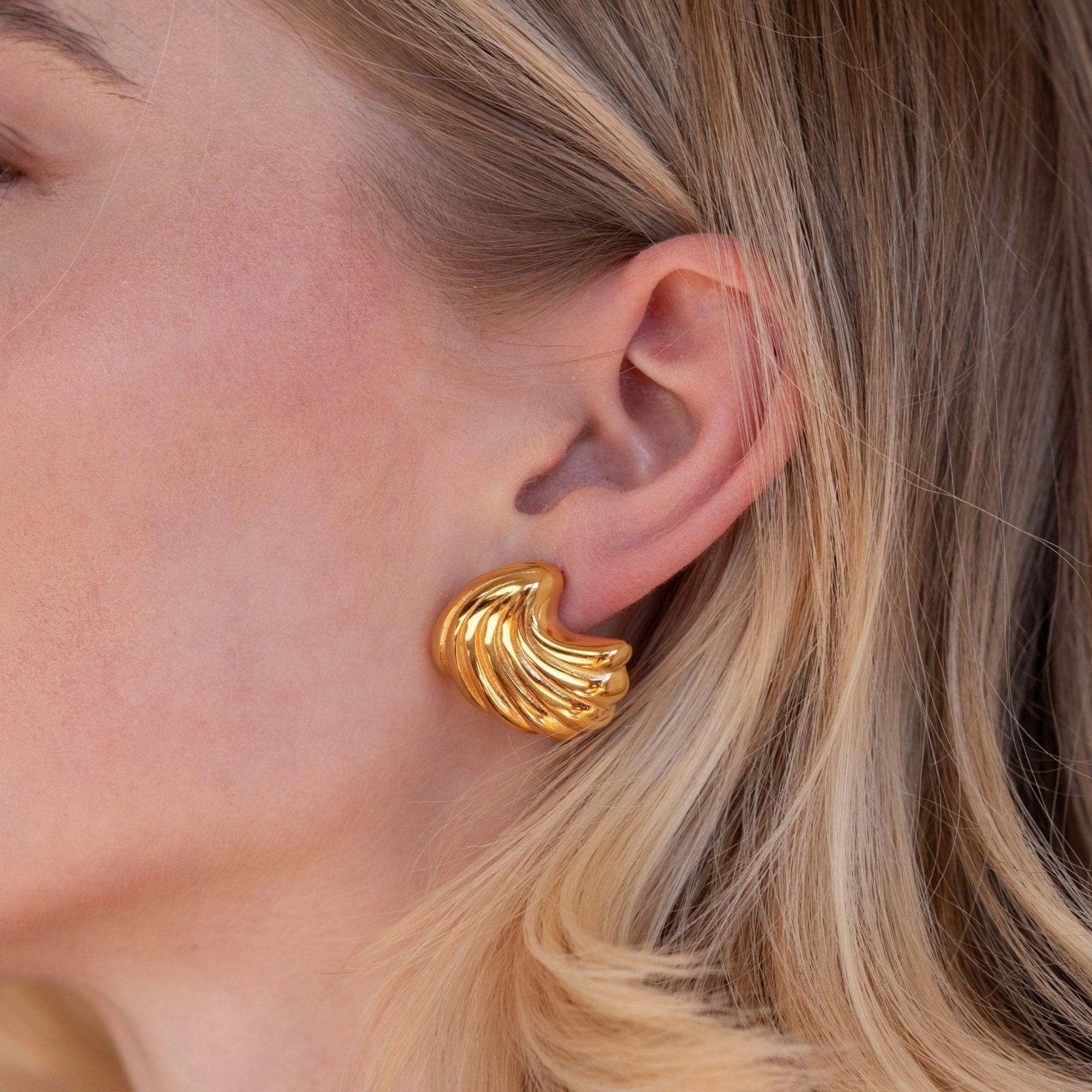 Golden Seashell Stud Earrings